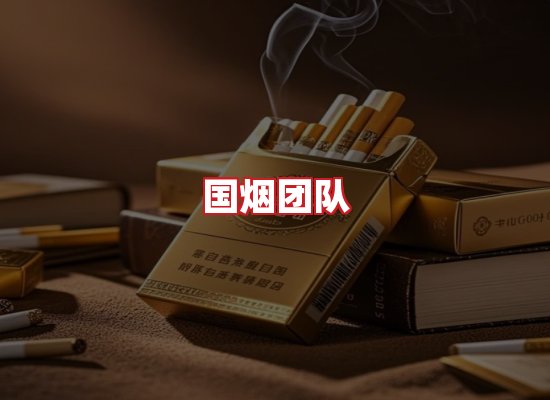 国烟团队